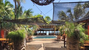A pool area with hexagonal tiles, surrounded by palm trees and wooden furniture. - El Belga Loco (León)
