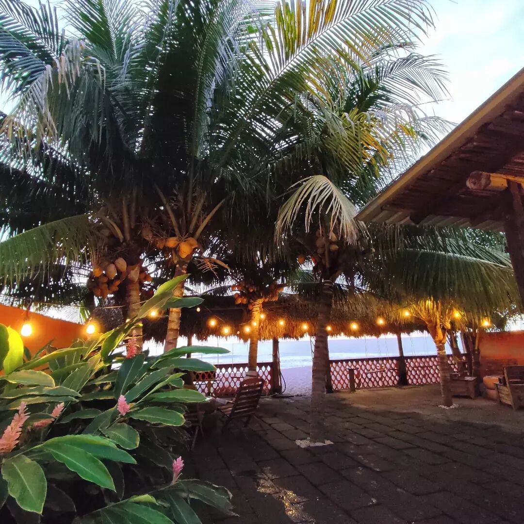 Bar de playa