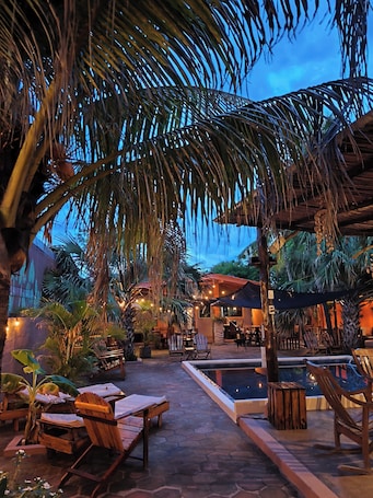 Outdoor pool, sun loungers. El Belga Loco