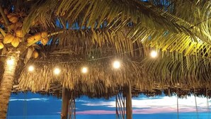 A covered outdoor area with a thatched roof, palm trees, and a view of the ocean. - El Belga Loco (León)