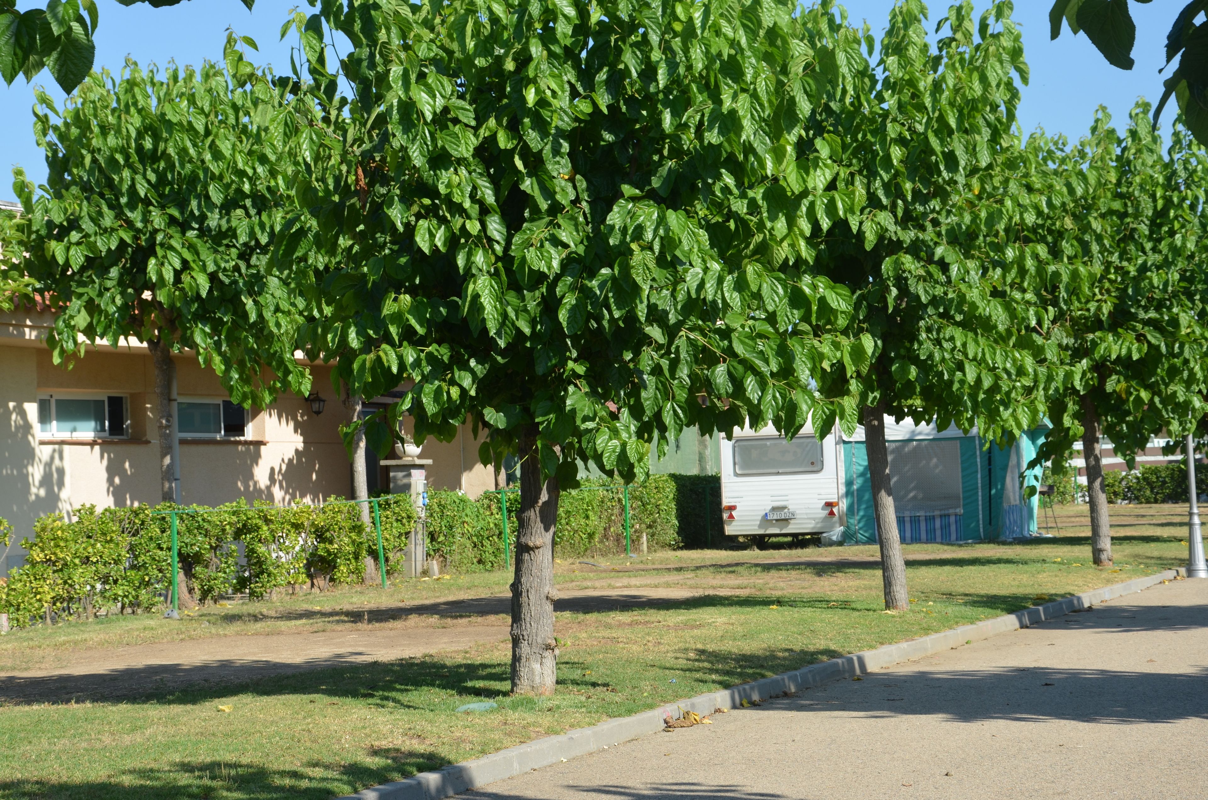 Foto - Camping Resort Els Pins