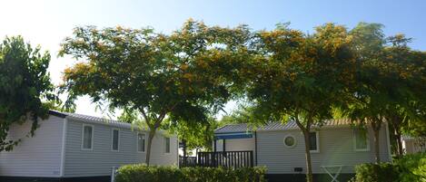 Mobile Home Premium 3 AC | 테라스/파티오