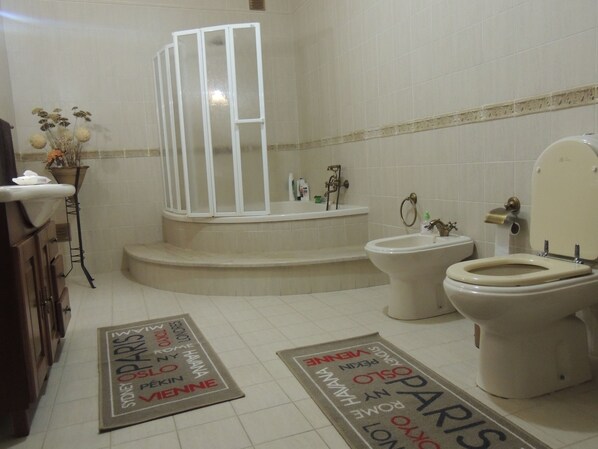 تجهيزات دش، مجففات شعر، مراحيض شطف، مناشف