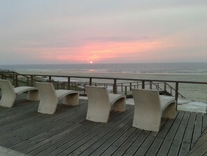 بالقرب من الشاطئ، كراسي للتشمس