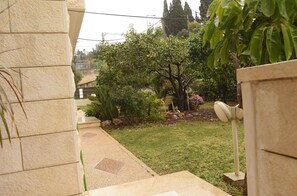 A garden with a lawn, a tree, and a satellite dish.