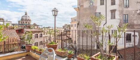 A rooftop terrace with potted plants, a chair, and a view of historic buildings.