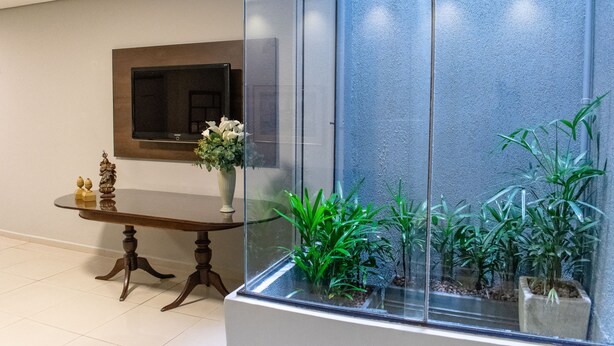 Un intérieur moderne avec une cloison en verre, une table en bois agrémentée d’objets décoratifs et un arrangement de plantes en pot.