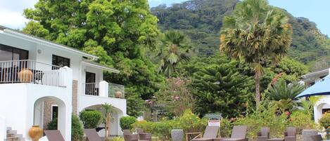 Vista desde la habitación