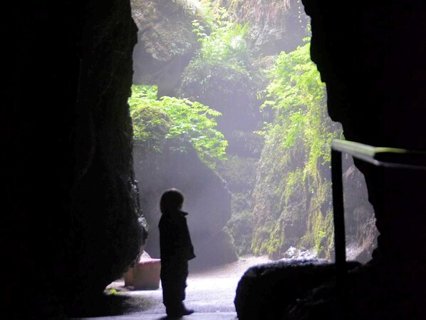 Image sans description, 1 de 36, bouton