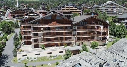 Very nice apartment at the heart of Verbier. It is located in 2 minutes of the central place, the sh
