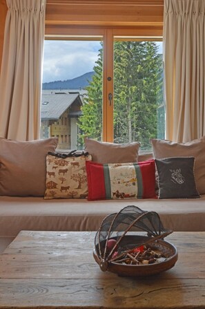 TV, fireplace, DVD player