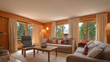 Télévision, cheminée, lecteur de DVD