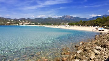 Accommodatie ligt op het strand, ligstoelen