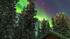 Une cabane avec une porte verte et des fenêtres, entourée d’arbres couverts de neige et illuminée par les aurores boréales.