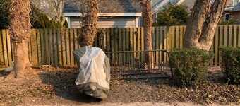 Cm1136-38 Lafayette Street