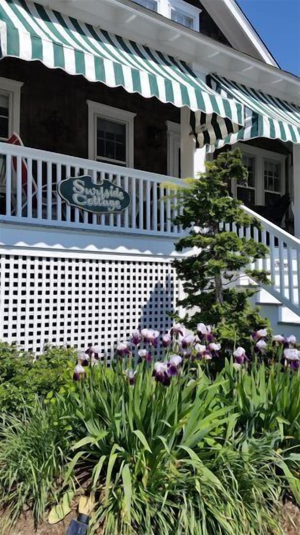 House | Front of property - Cm15 Gurney St (Cape May)