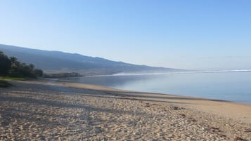Plage, chaises longues