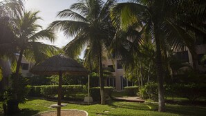 A well-maintained garden with a thatched umbrella, palm trees, and a pathway leading to a building with large windows.