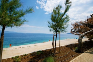 A coastal view with a sandy beach, a clear blue sea, and a few trees. - Unique, romantic and completely private (Labin)