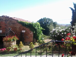 Property grounds - A small place to relax in Tuscany (Montaione)