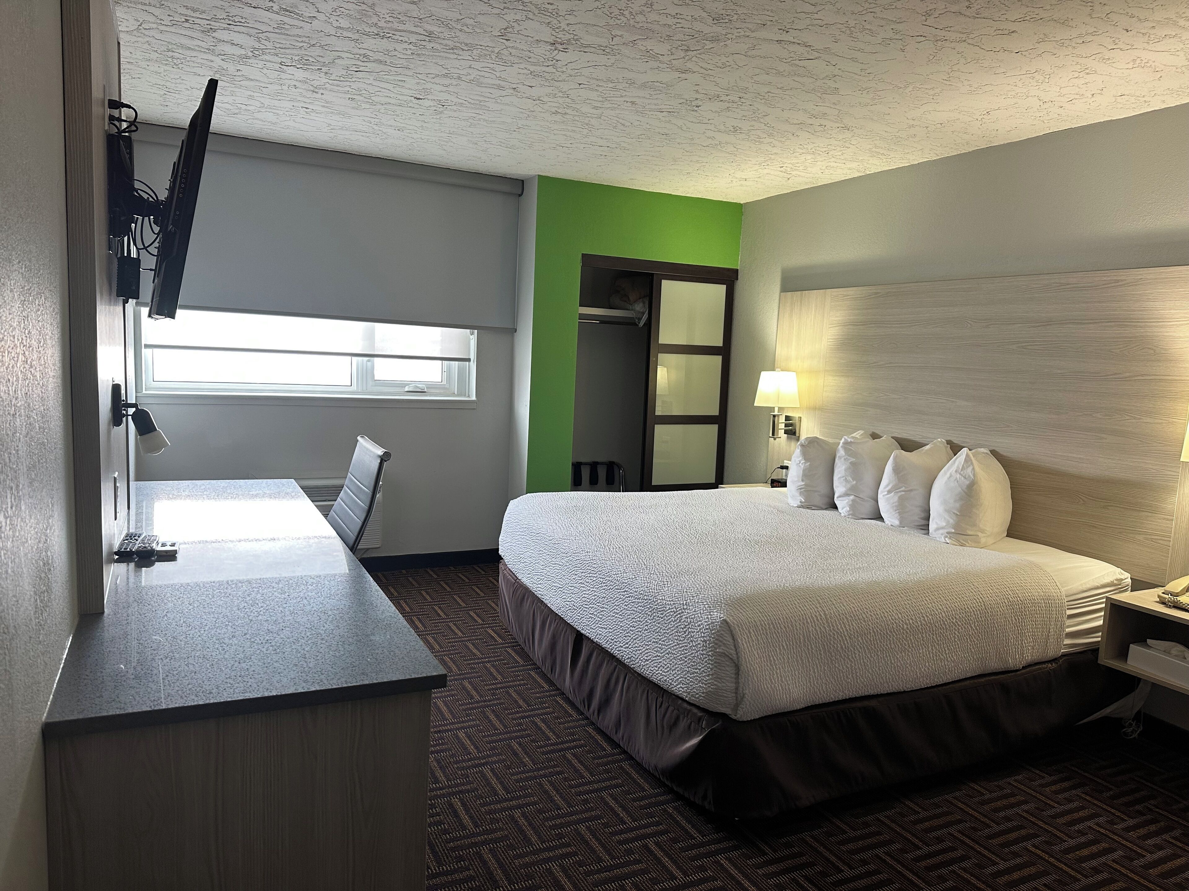 Room, 1 King Bed, Non Smoking (Efficiency)