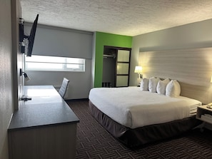 Habitación, 1 cama King size, para no fumadores (Efficiency) | Escritorio, espacio para trabajar con laptop y insonorización