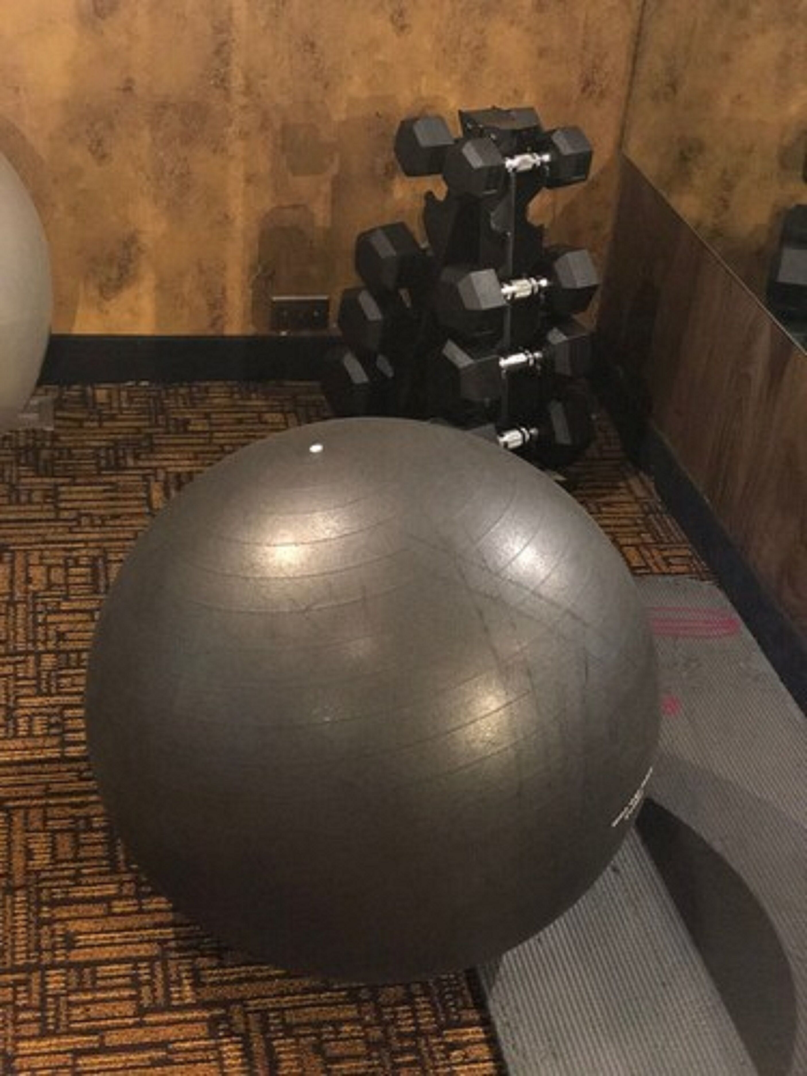 A gym area with a large exercise ball and a set of dumbbells against a wall.