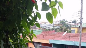 Unclassified image, 3 of 21, button - María's House (San José)