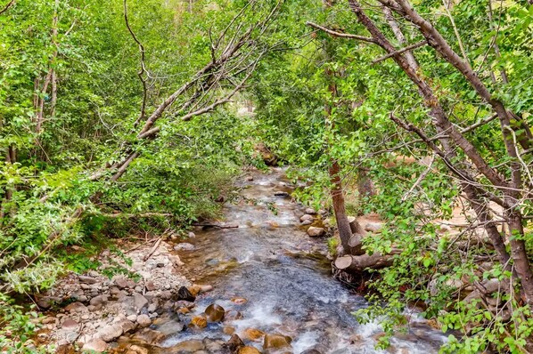 Un arroyo serpentea entre una exuberante vegetación y rocas.