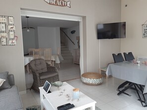 TV, lareira, livros