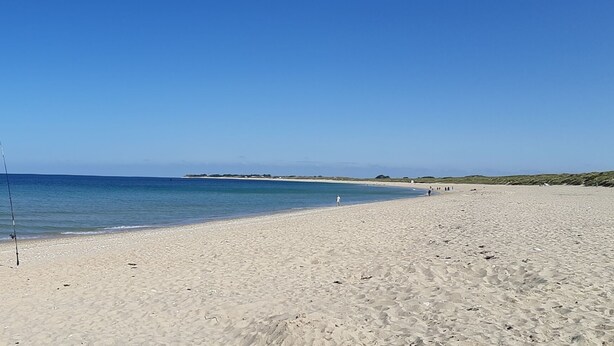 Ein Strand mit einem Fischstab im Sand, wolkenlosem, blauem Himmel und ruhiger See.