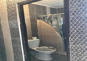 تجهيزات دش، مراحيض شطف