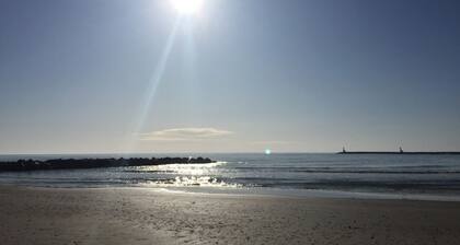 Montpellier and seaside, beautiful villa for 15 people with swimming pool