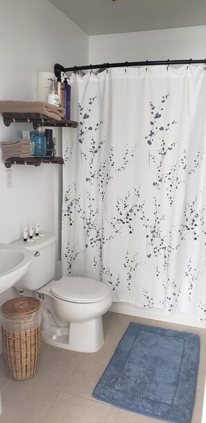 وحدات دش مع أحواض استحمام، مجففات شعر، مناشف، صابون