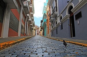A cobblestone street lined with colorful buildings, a pigeon on the ground, and a clear sky.