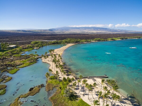 Beach nearby - 🏖️BEAUTIFUL Resort | AC | Walk to Beach & Restaurants (Waikoloa)
