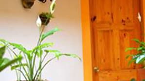 A room with a wooden door, a wall-mounted light fixture, and several potted plants. - Hotel Camelinas Área Blanca (Patzcuaro)