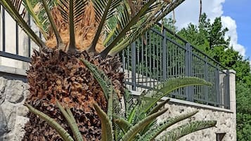 Detalle exterior