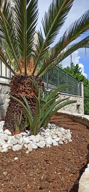 Details aan de buitenkant