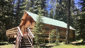 A log cabin with a staircase leading to a deck, surrounded by trees.