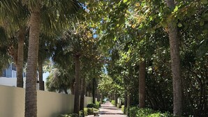 Ein gepflasterter Weg, gesäumt von Palmen und verschiedenen Sträuchern, führt zu einem Gebäude in der Ferne.