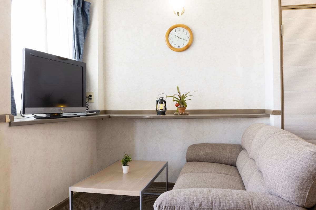 Ein Wohnzimmer mit Fernseher auf einem Schrank, einer Couch, einem kleinen Tisch mit Pflanze und einer Wanduhr.