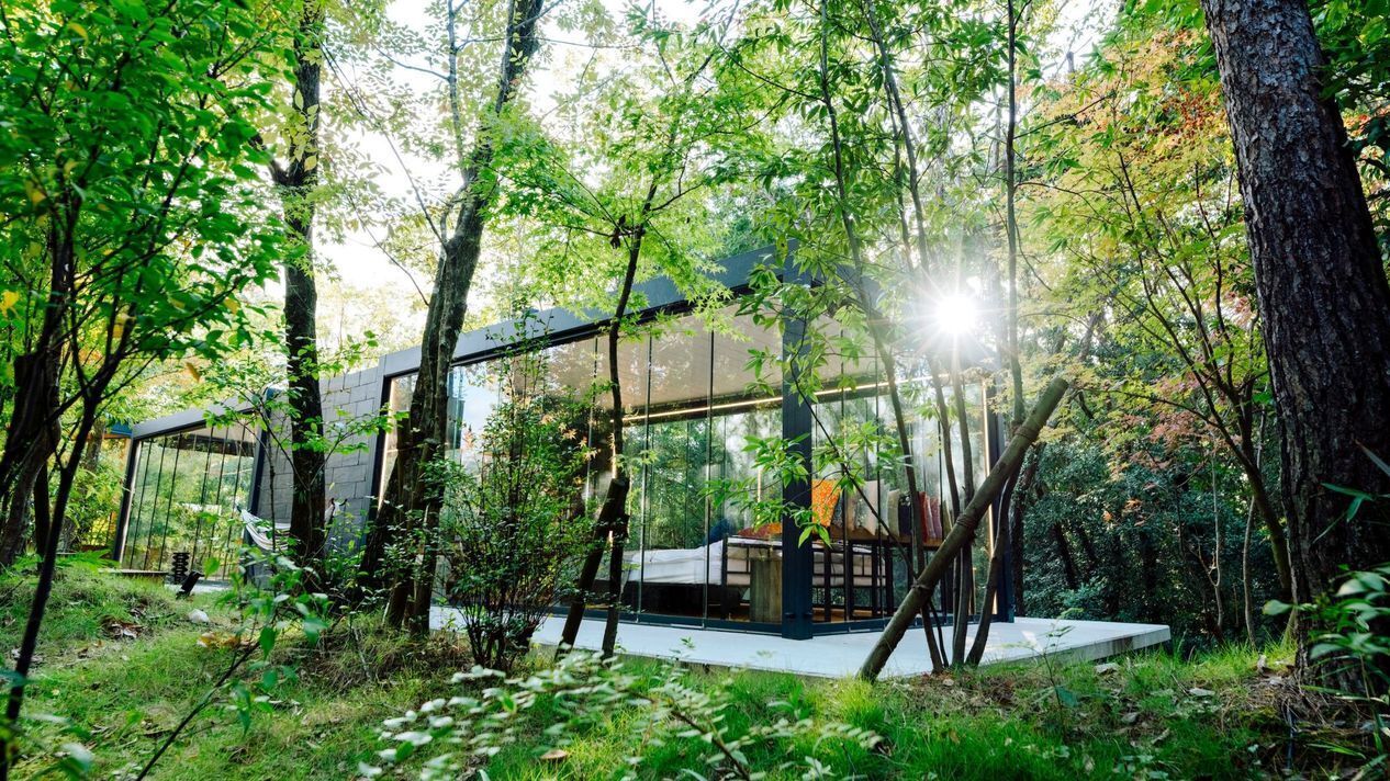 A modern glass house in a forest with natural light.