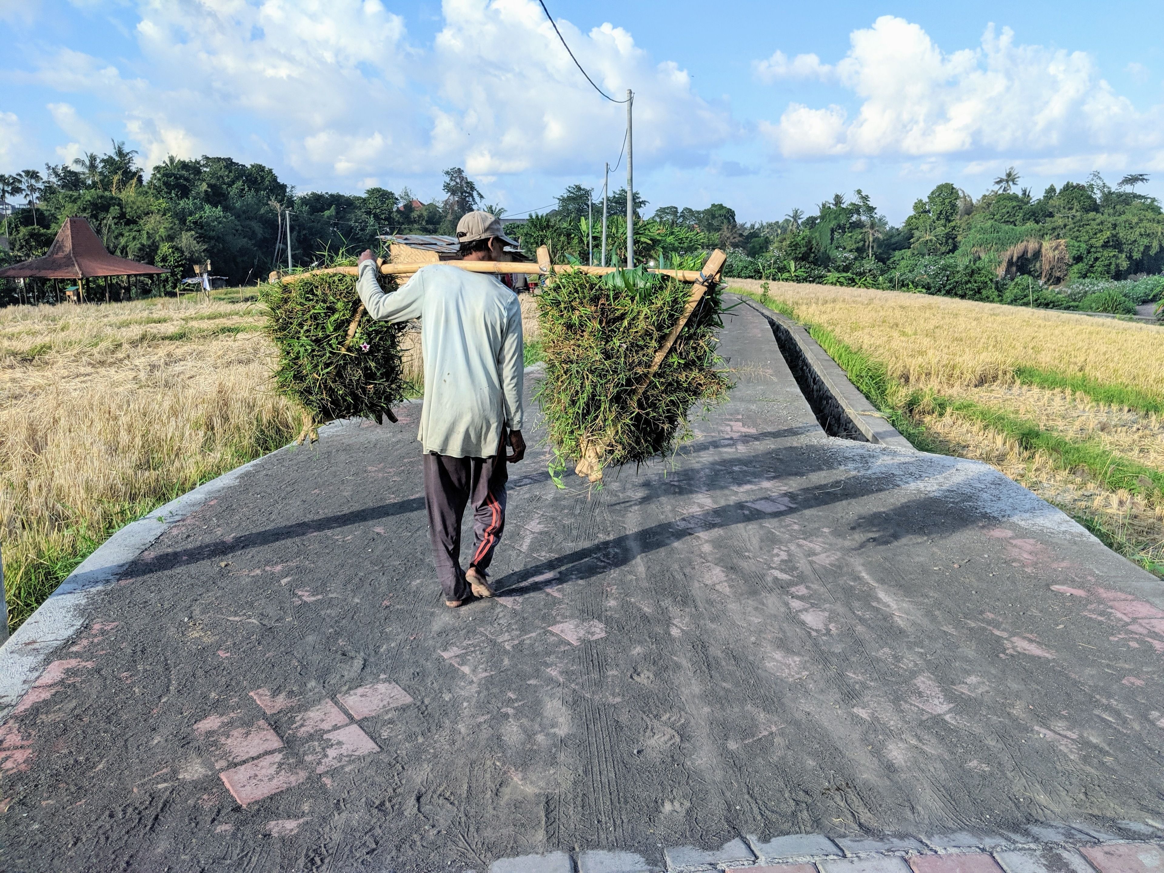 Foto - Ohana Pererenan