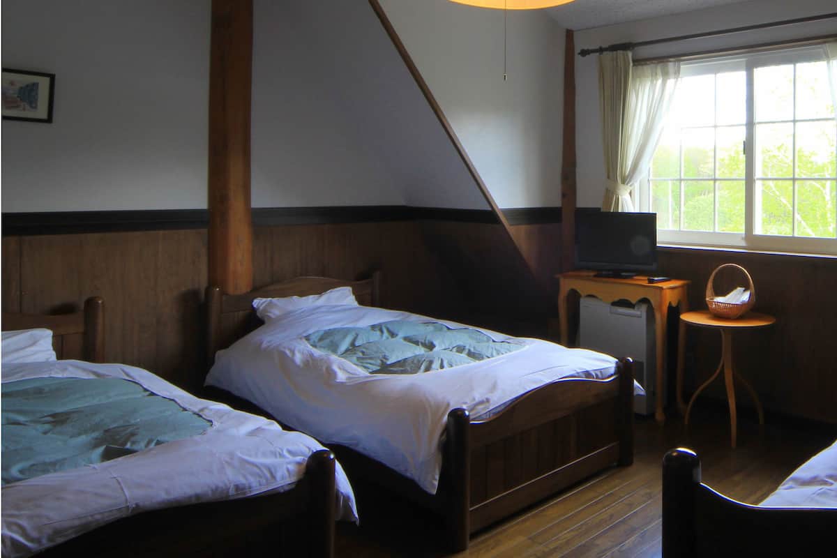 A room with two wooden beds, a television on a small table, and a window with curtains.