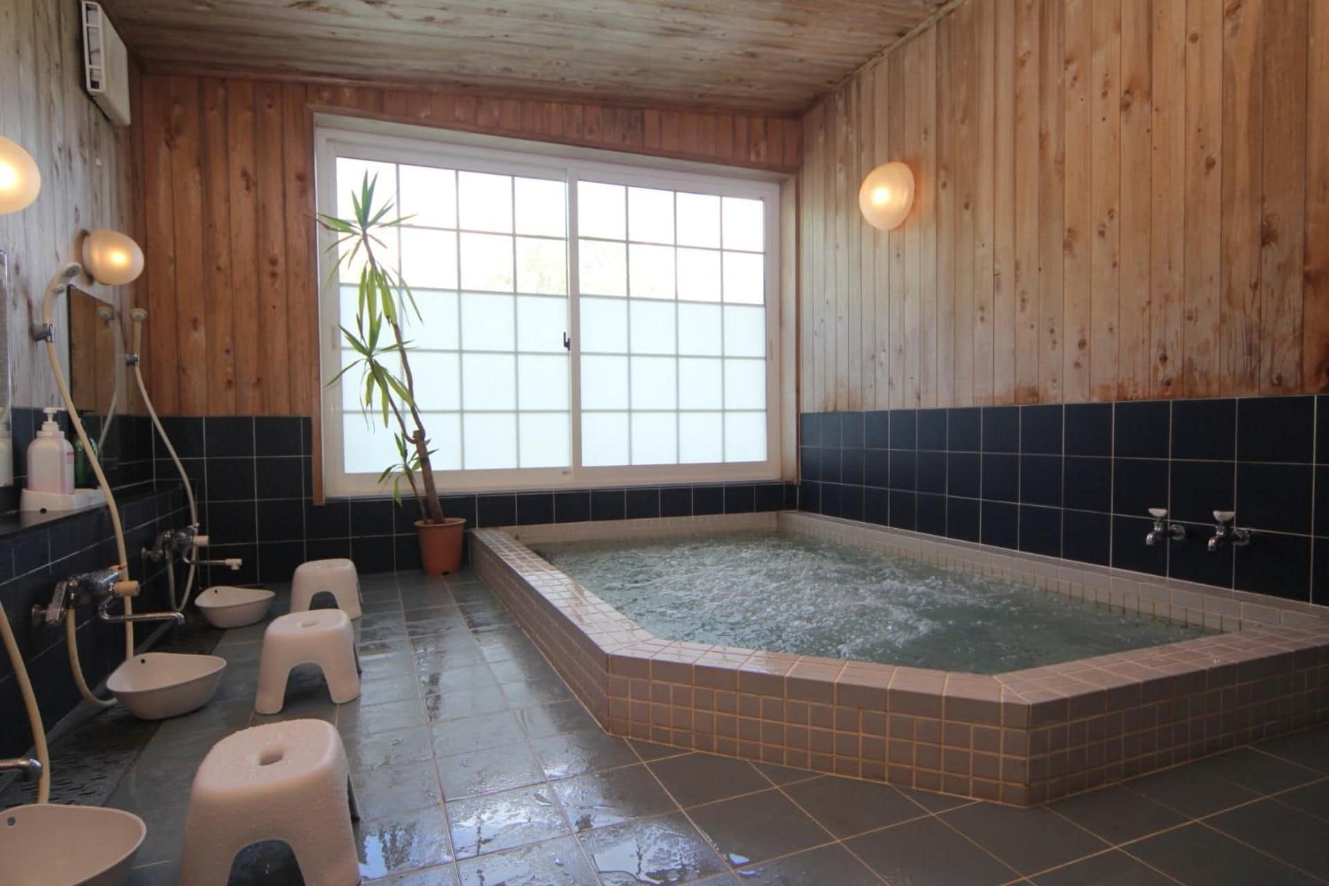 A wooden interior with a large window, a bathtub, and a potted plant.