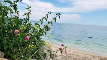 住宿正面