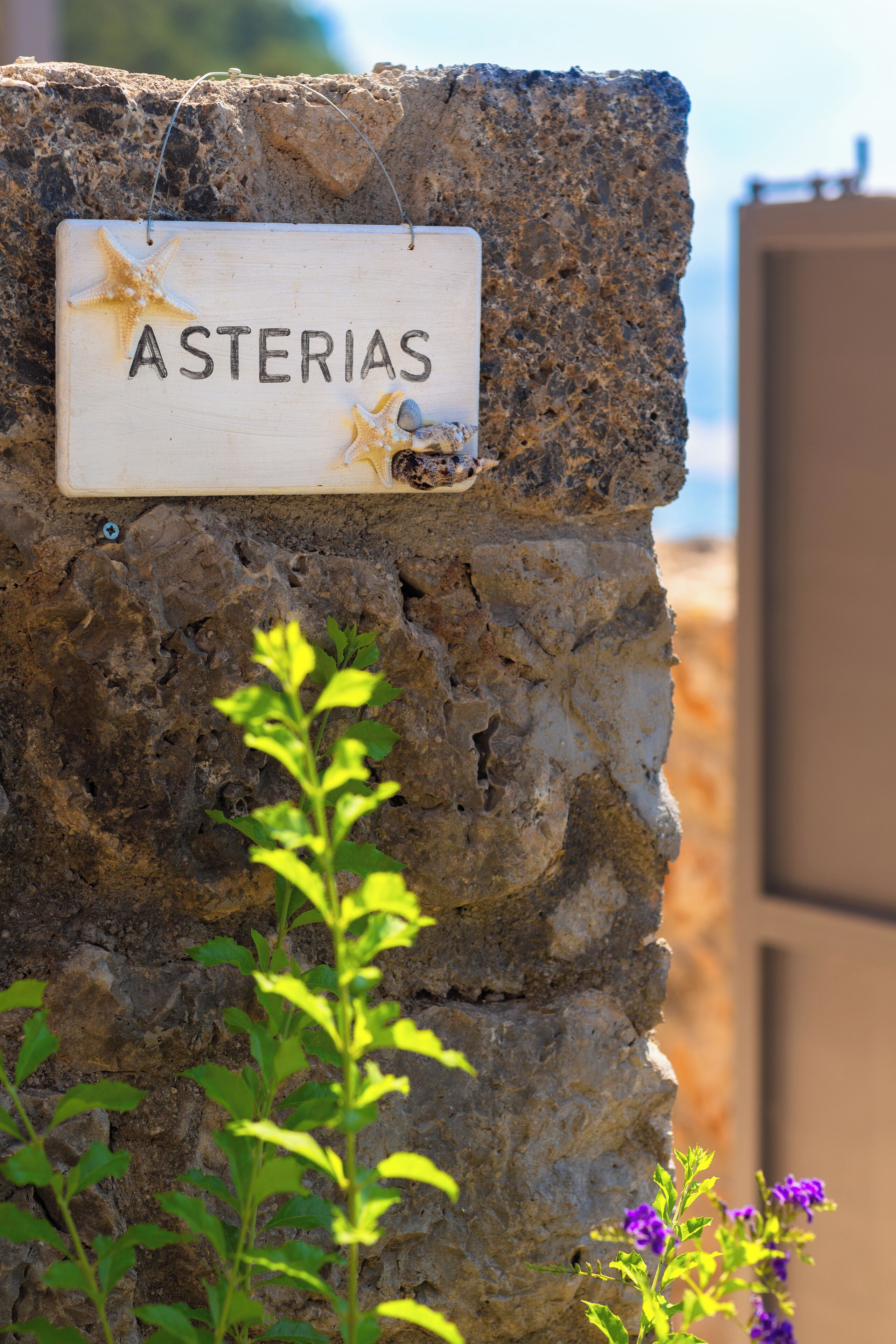 Mural de pedra com uma placa indicando "ASTERIAS" e uma planta na frente.