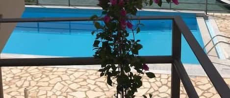 Outdoor pool, pool loungers
