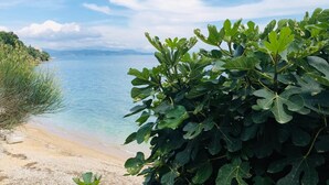 A beach with clear blue water, a sandy shore, and dense fig tree foliage in the foreground. - Glyfa Beach Villas (Corfu)